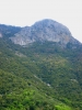 PICTURES/Sequoia National Park/t_Ampitheatre Point Shot2.JPG